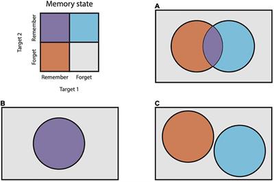 Primates chunk simultaneously-presented memoranda